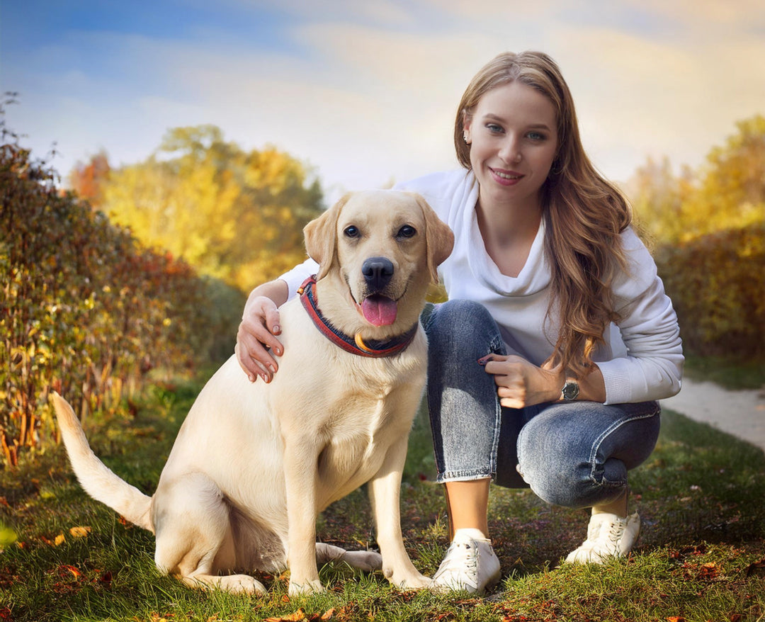 Haagen-Paws All-In-One Dog Vitamin Chewable