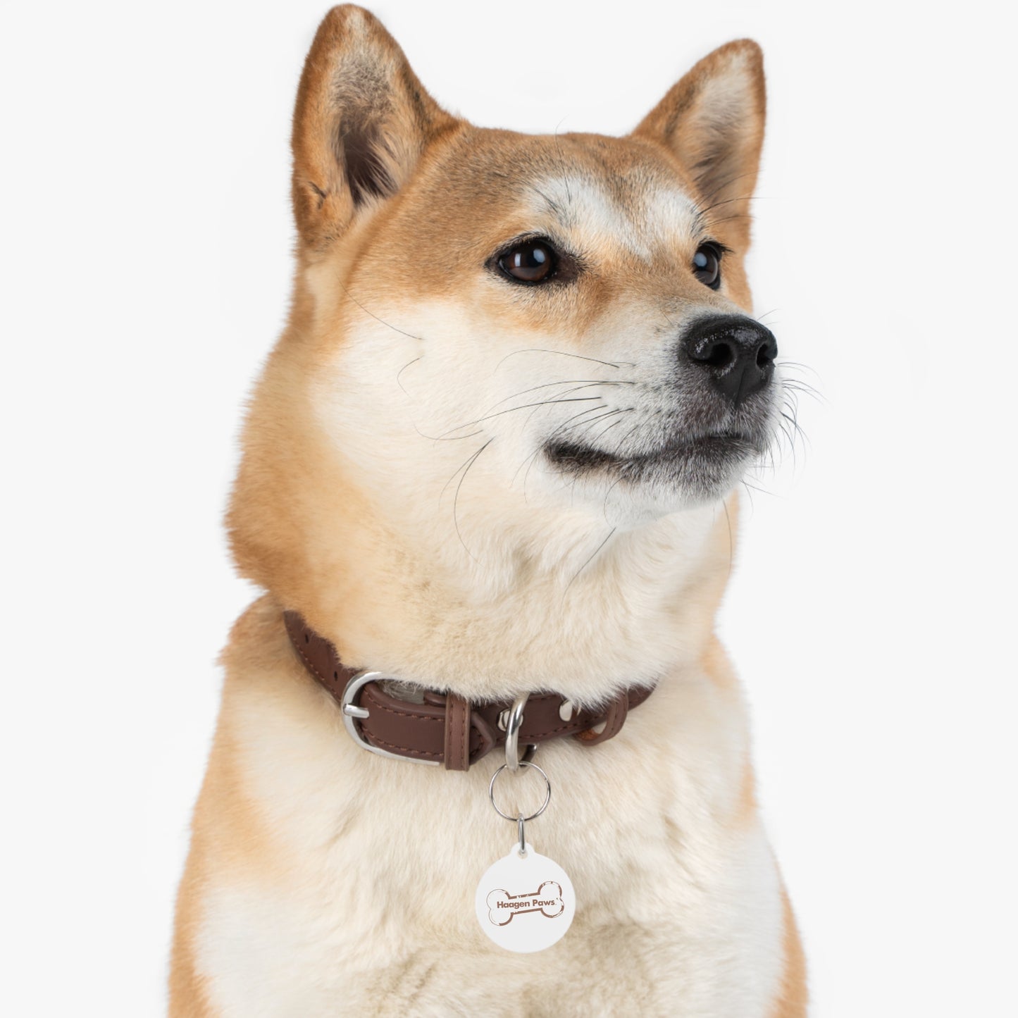 Haagen-Paws Pet Tag
