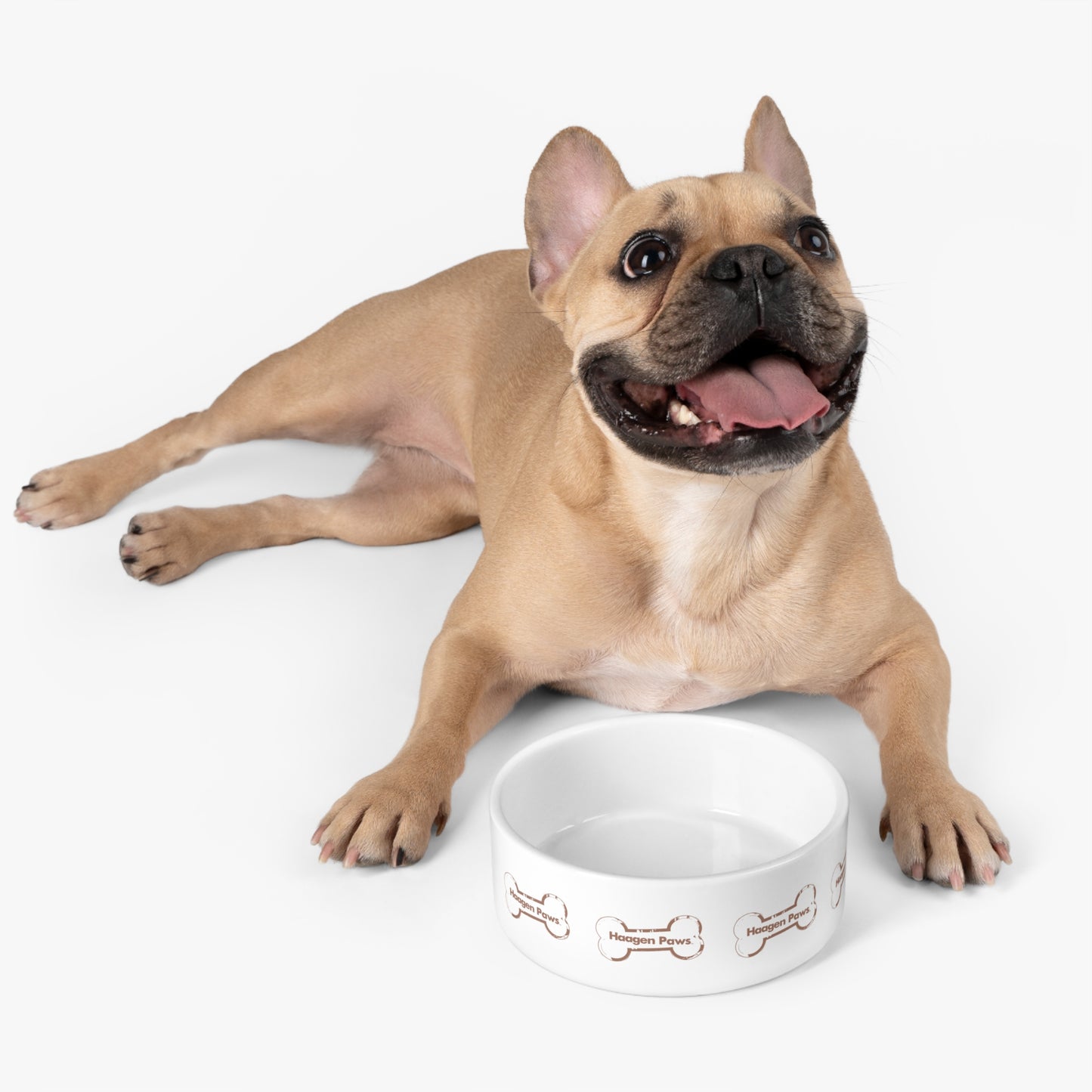 Haagen-Paws Pet Bowl