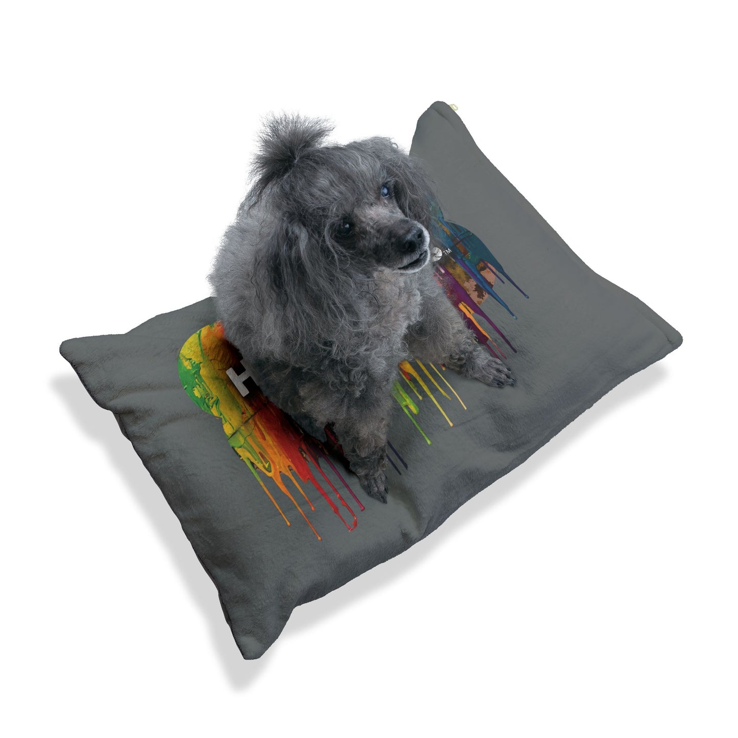Haagen Paws Graffiti Pet Bed