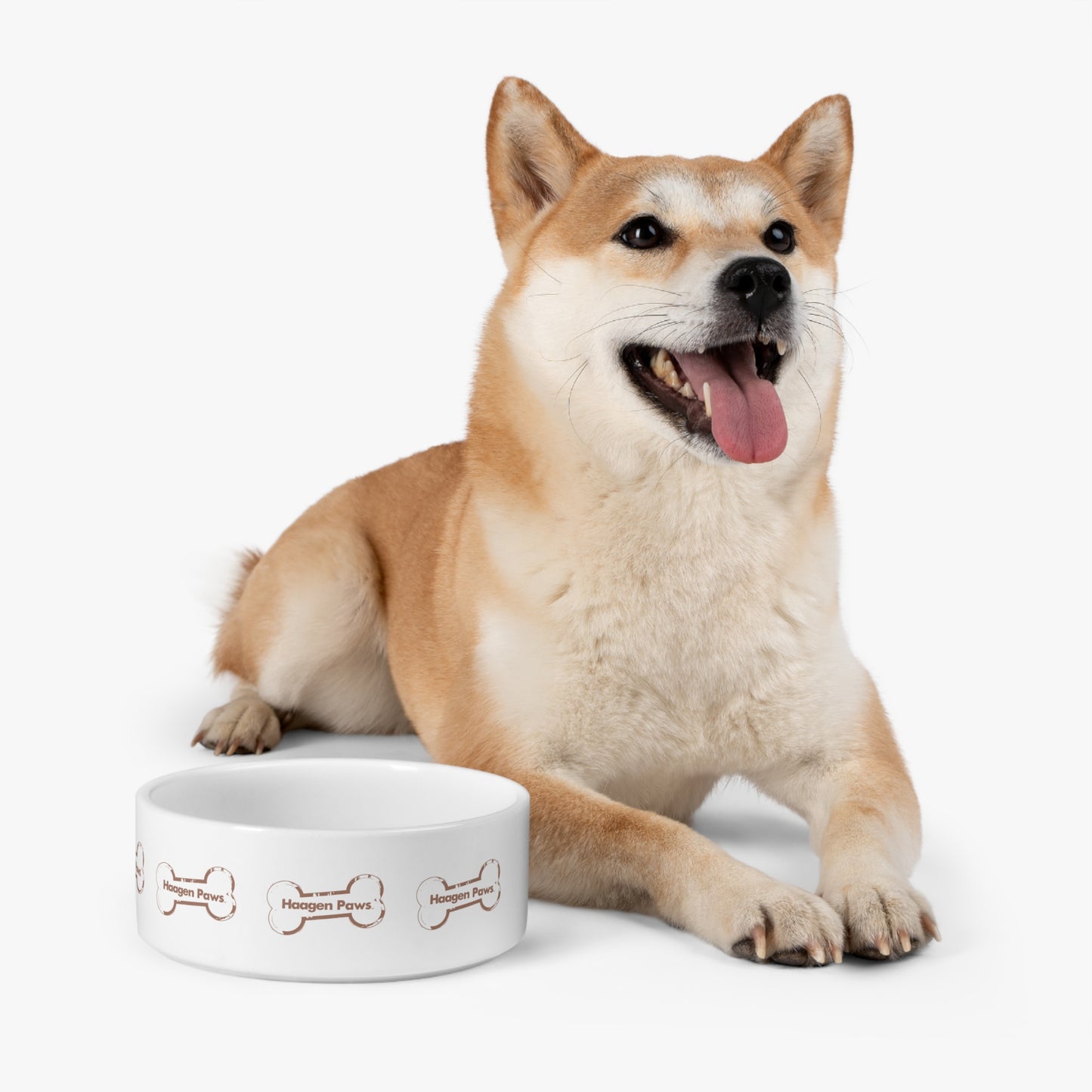 Haagen-Paws Pet Bowl