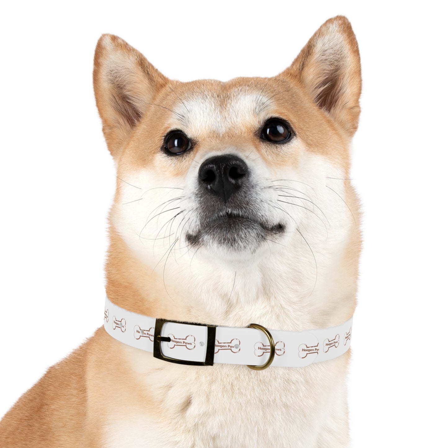 Haagen-Paws Dog Collar