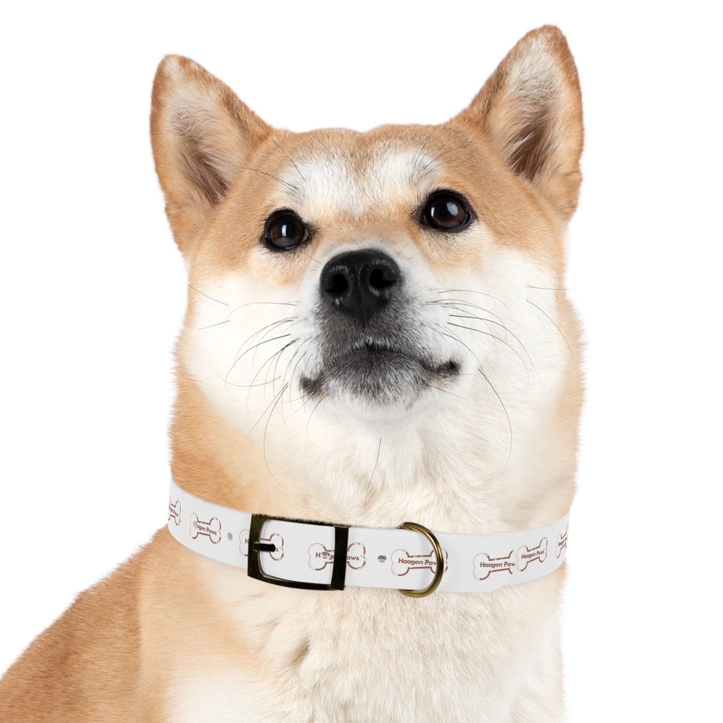 Haagen-Paws Dog Collar