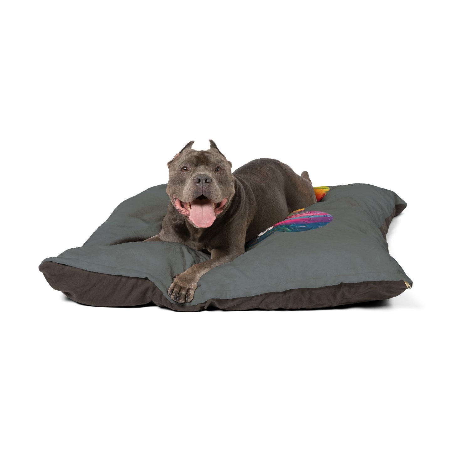 Haagen Paws Graffiti Pet Bed