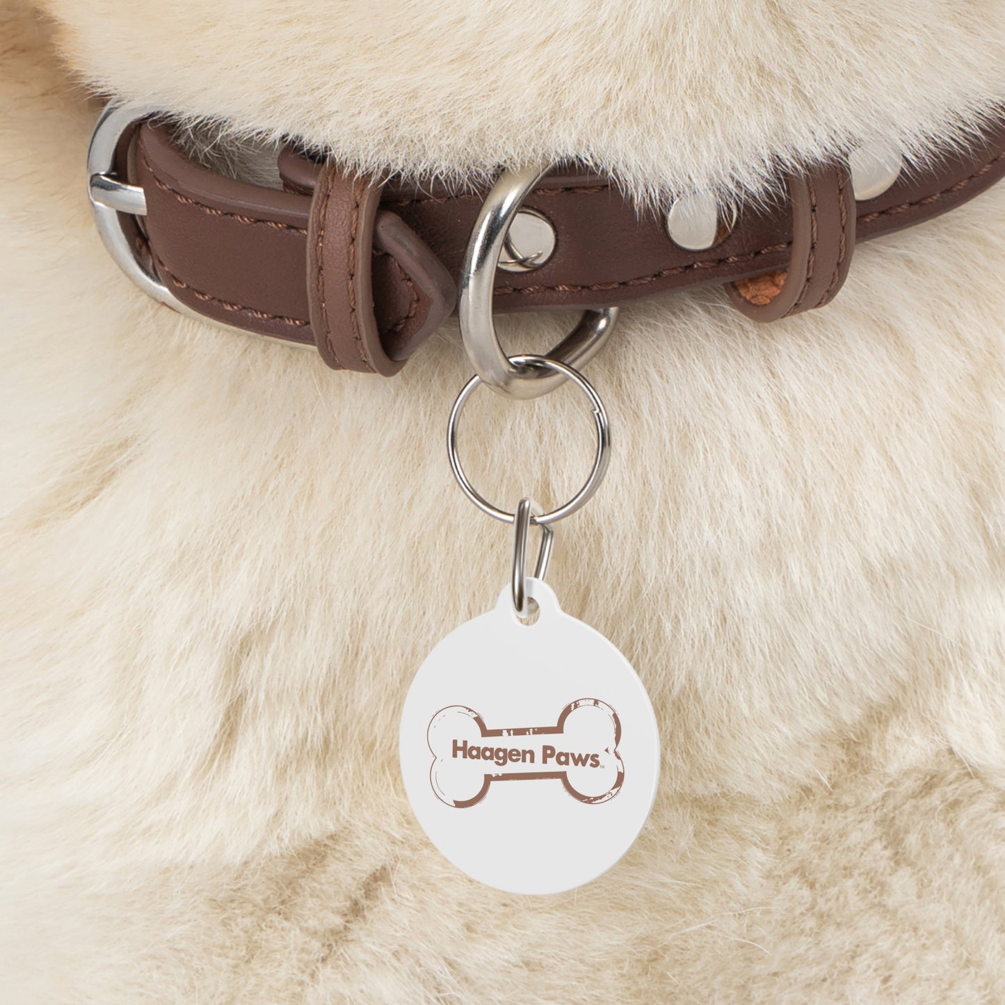 Haagen-Paws Pet Tag