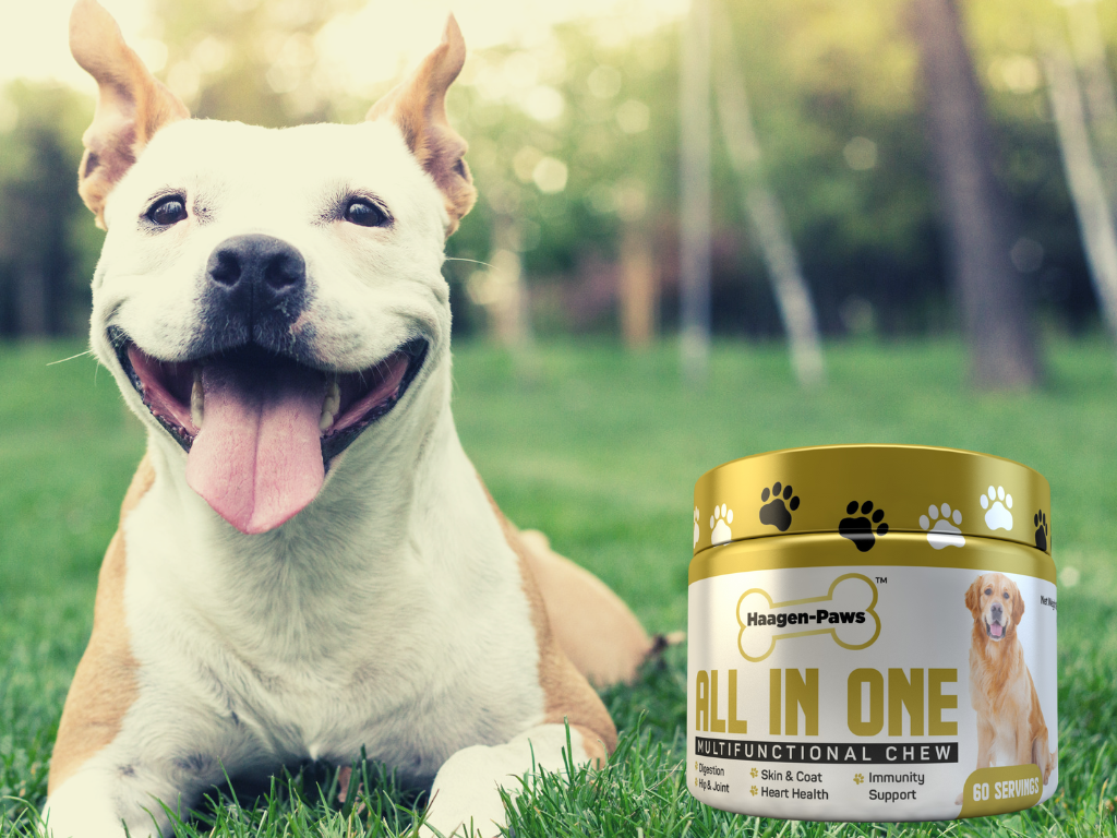 Haagen-Paws All-In-One Multivitamin Chewable Supplement