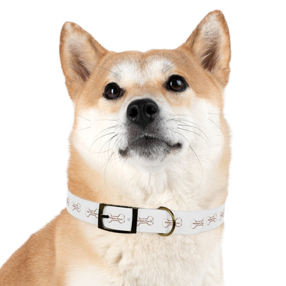 Haagen-Paws Dog Collar