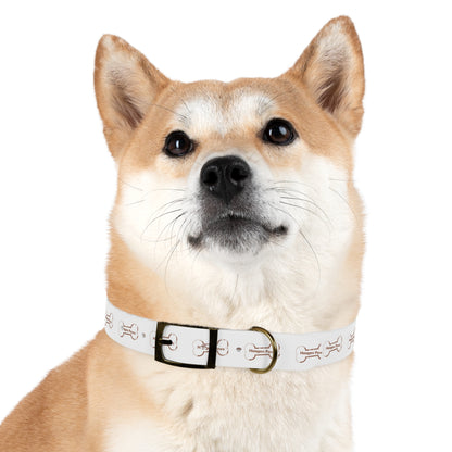 Haagen-Paws Dog Collar