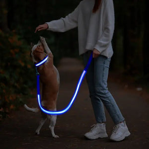 LED Dog Leash