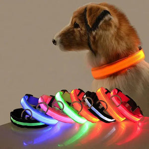 LED Dog Collar